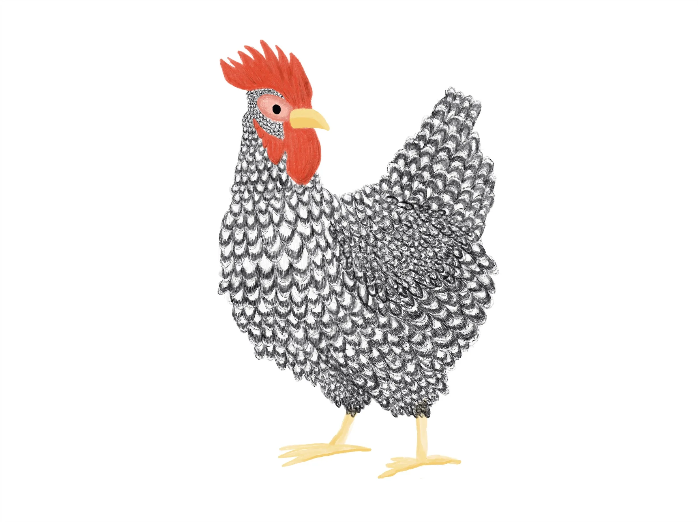 Chickens Exclusive by LennyLamb x Little Zen One Preschool Onbuhimo