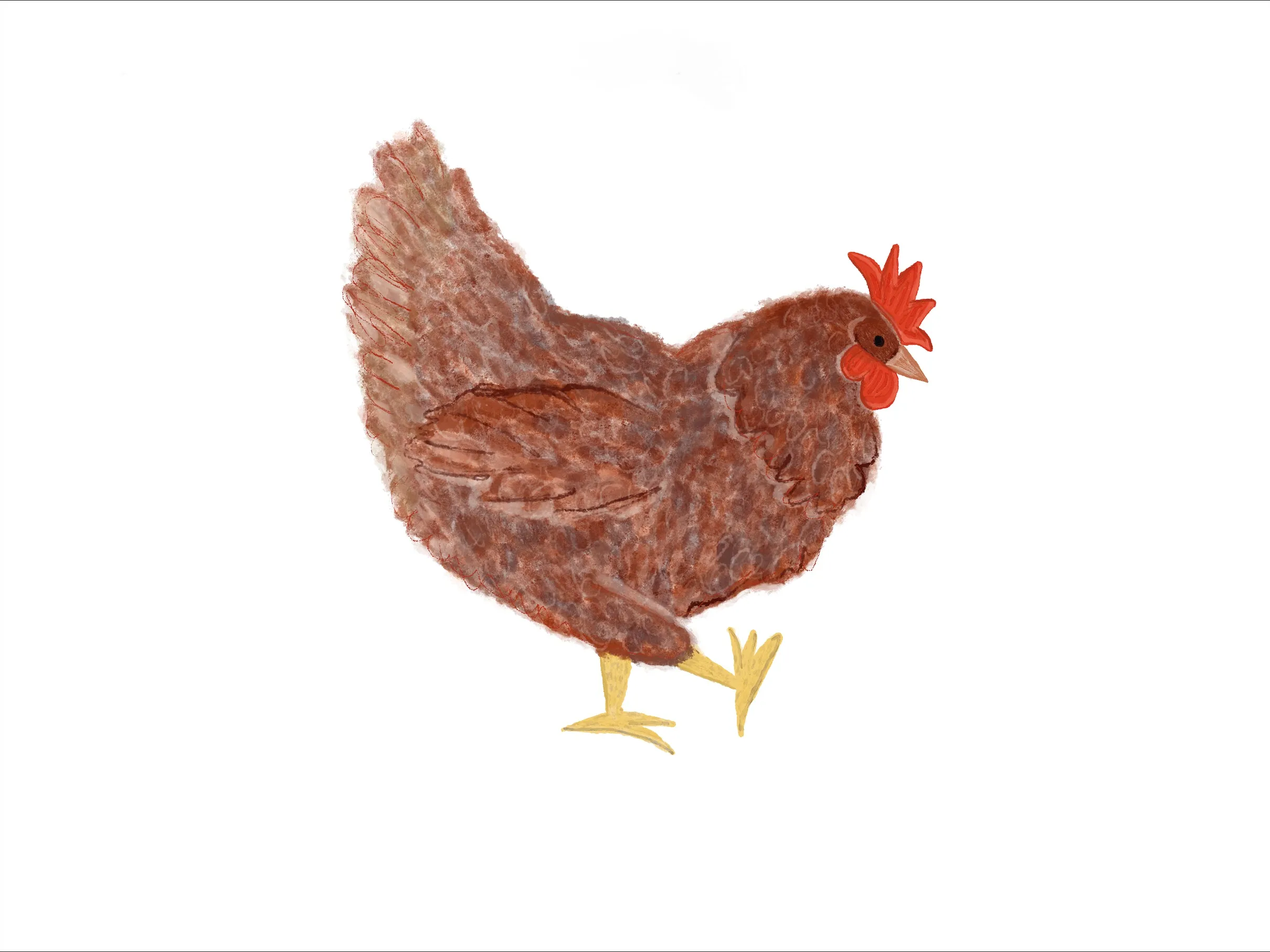 Chickens Exclusive by LennyLamb x Little Zen One Preschool Onbuhimo