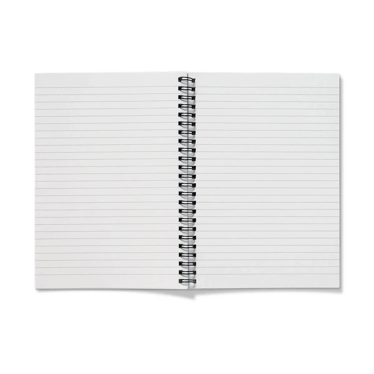 Chinoiserie Double Act - Auguste Racinet Notebook