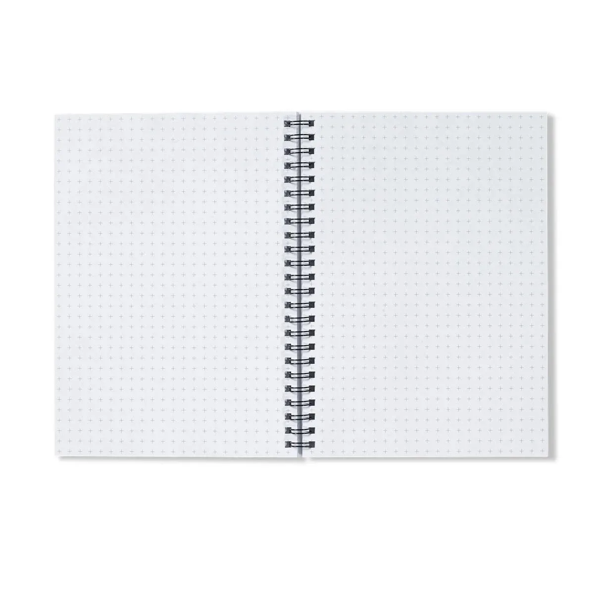 Chinoiserie Double Act - Auguste Racinet Notebook
