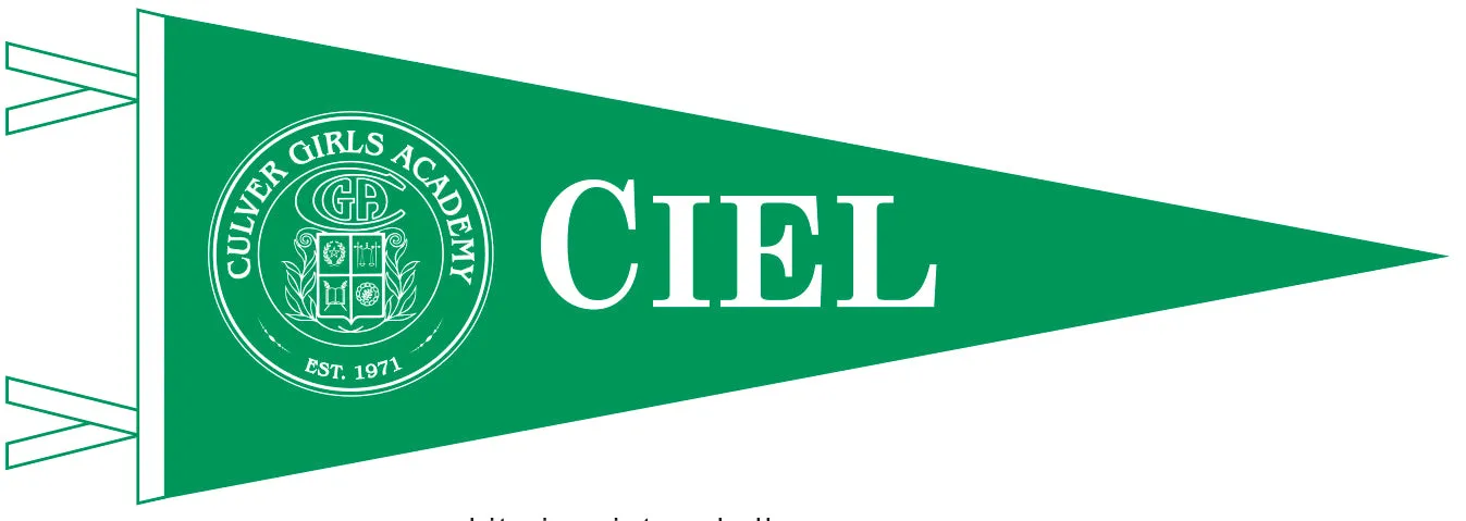 Ciel Pennant - 9" x 24"